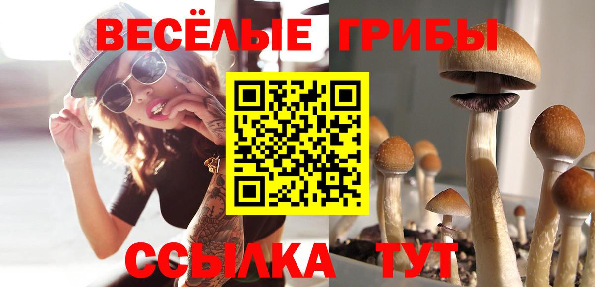 Галлюциногенные грибы прущие грибы  Вход с VPN  Видное 